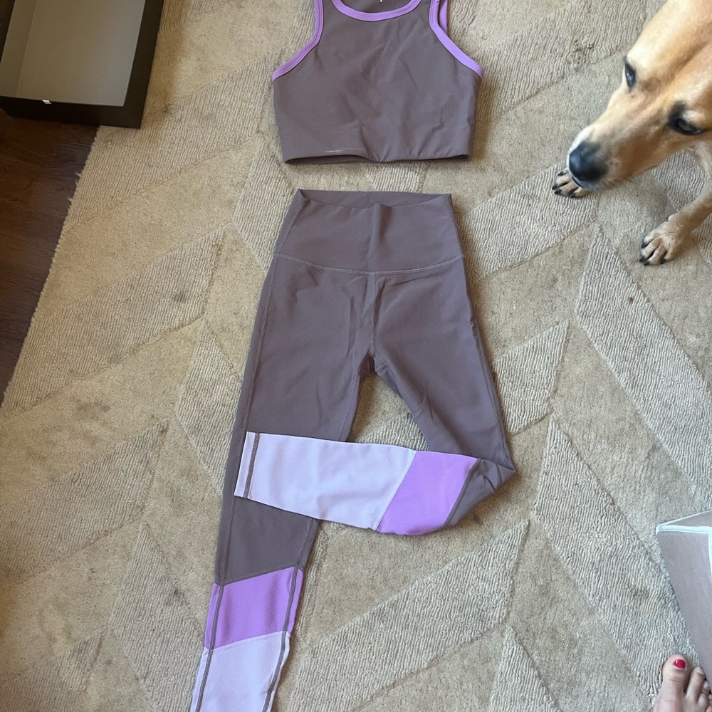 Women's Purple and Brown Activewear Set